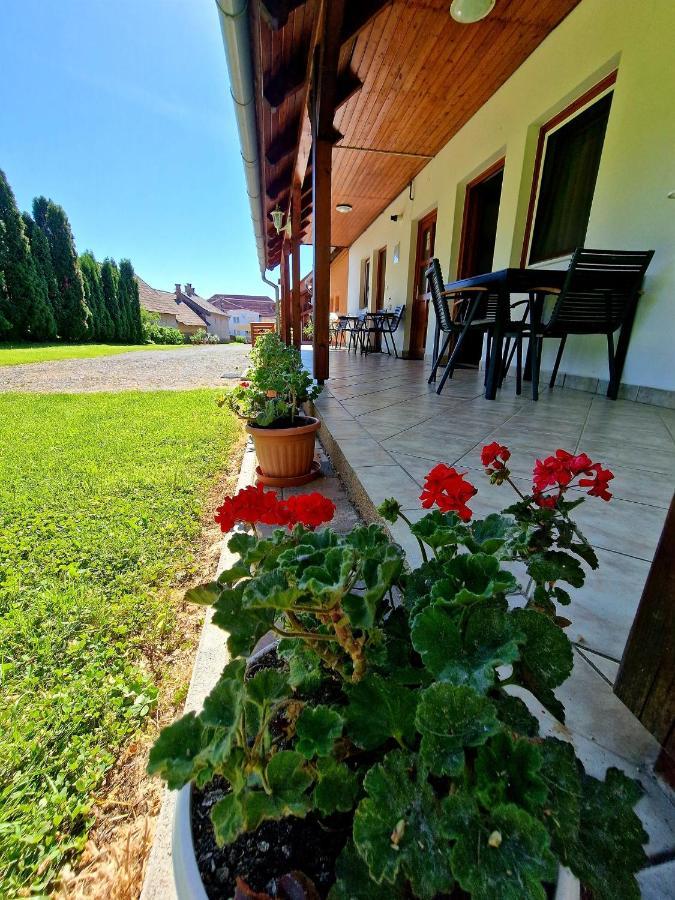 Ibolya Vendeghaz Apartment Kehidakustány Exterior photo